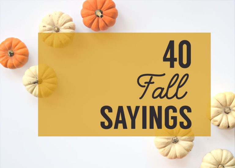 fall-sayings-for-crafters-diy-projects-clumsy-crafter